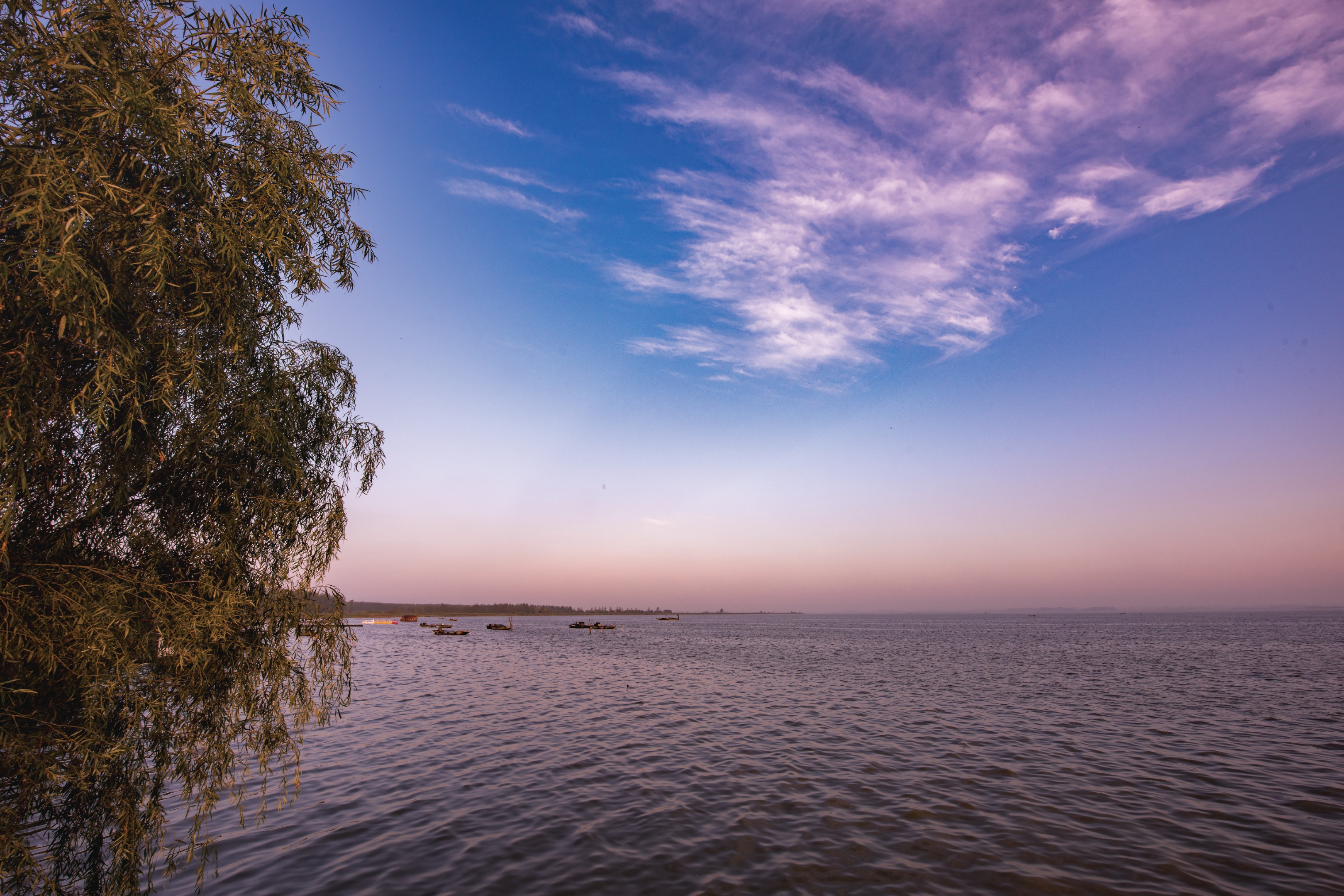 沱湖湿地风景区图片
