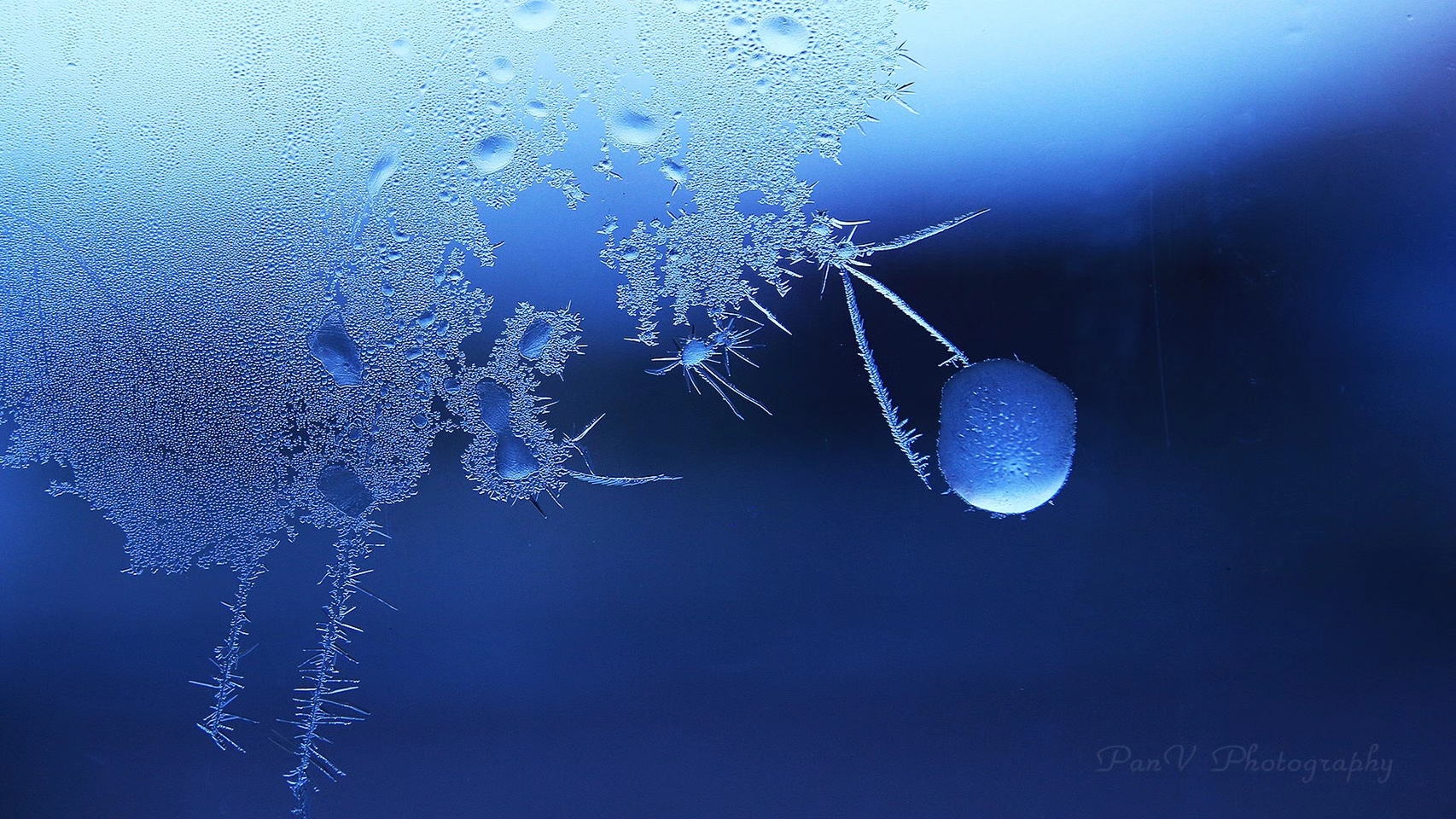 【首发】冰窗花(五)