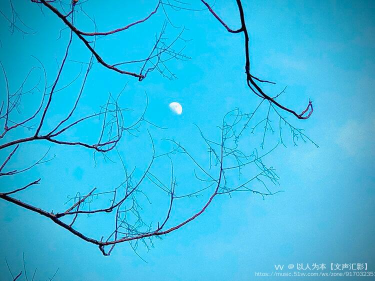 相依遥遥相望岁月如此的深情这日月同辉的早晨月亮还不忍离去太阳升起