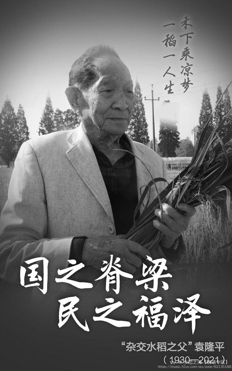 悼念袁隆平先生袁爷爷您走好朗诵美文制作乡恋之海