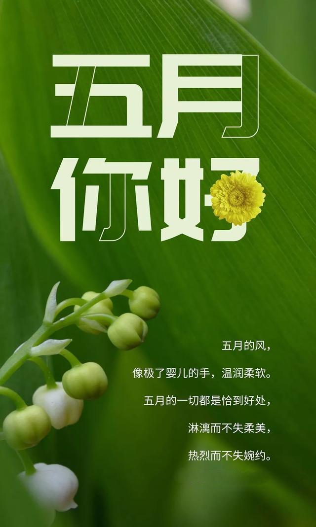 5月你好唯美图片