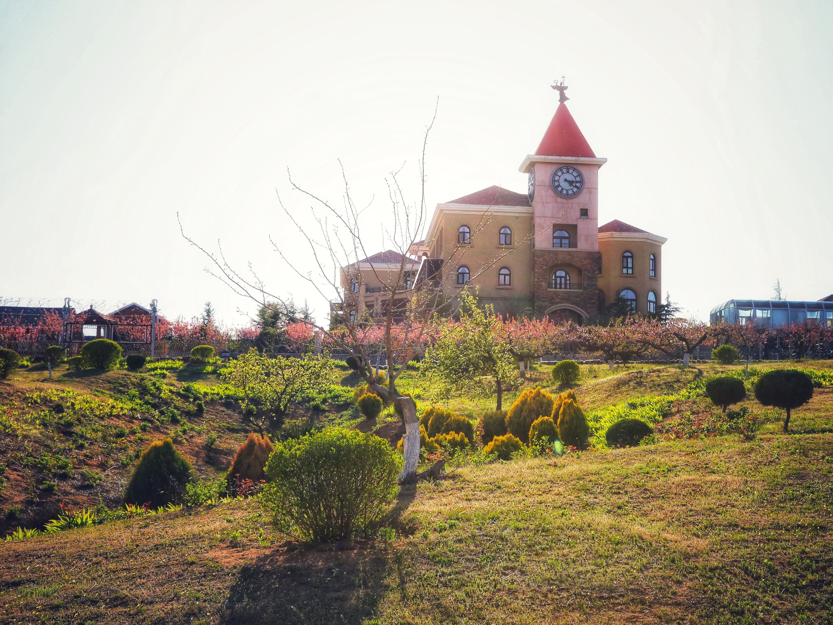 庄园,坐落在这个神奇的童话里.