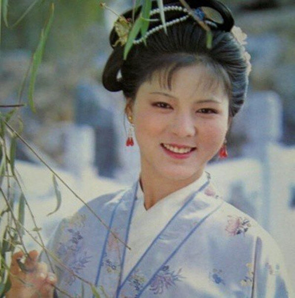 红楼梦人物袭人简议