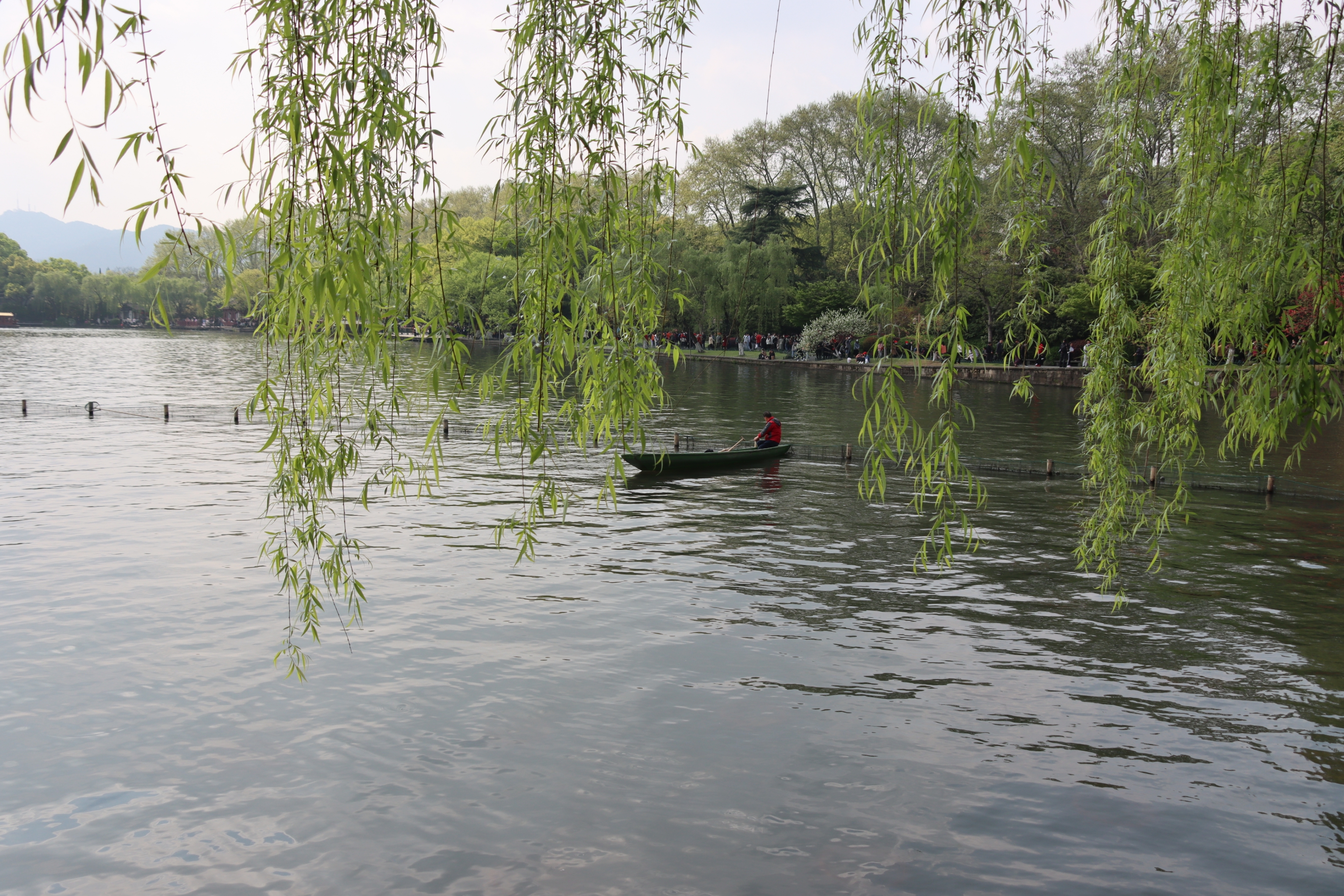 【首发】七律一湖烟雨一湖春