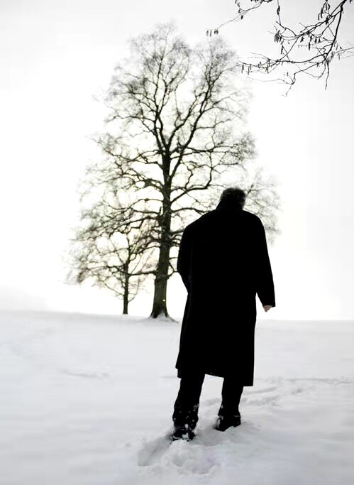 脚下路 白雪茫茫 泛着冷冷的光 文/枯叶秋蝉