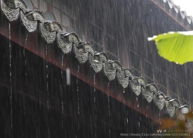 蒙蒙江南雨图片