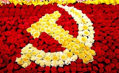 党旗花卉图片图片