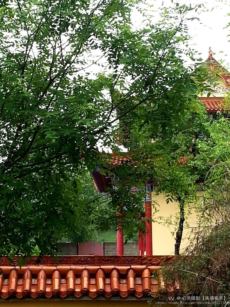 首发鲸鱼沟报恩寺