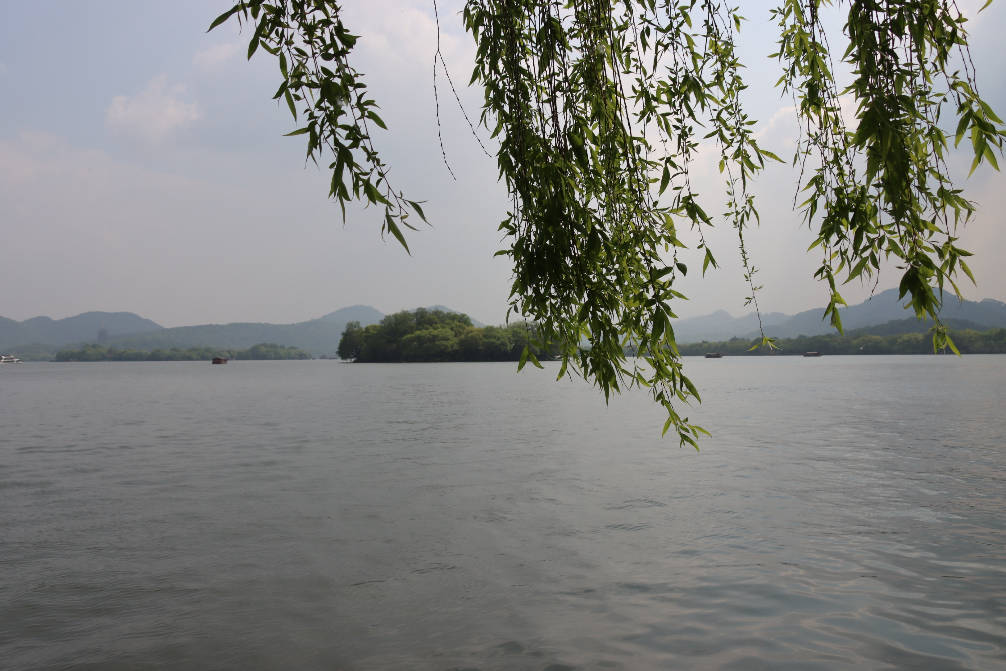 【首发】七律一湖烟雨一湖春