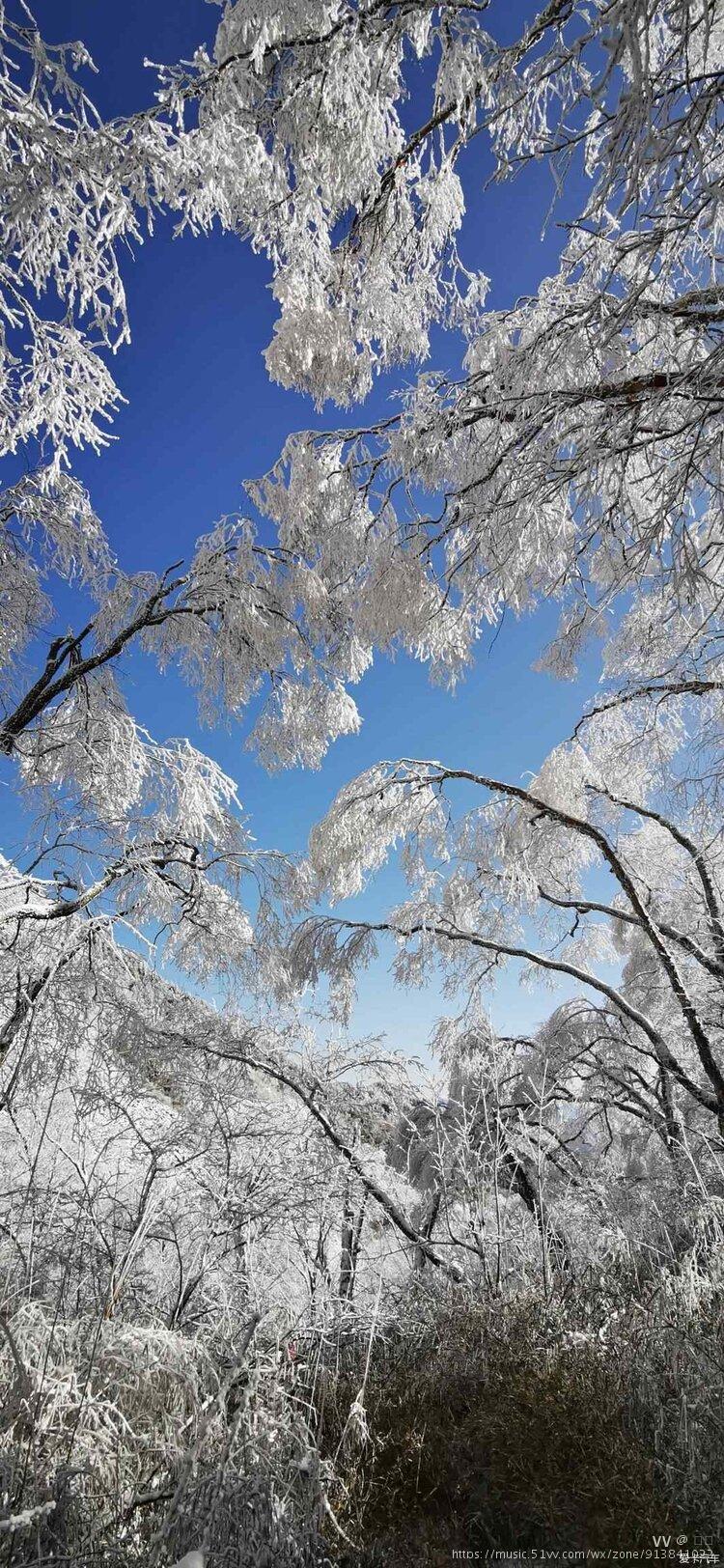 春天第一场雪图片图片