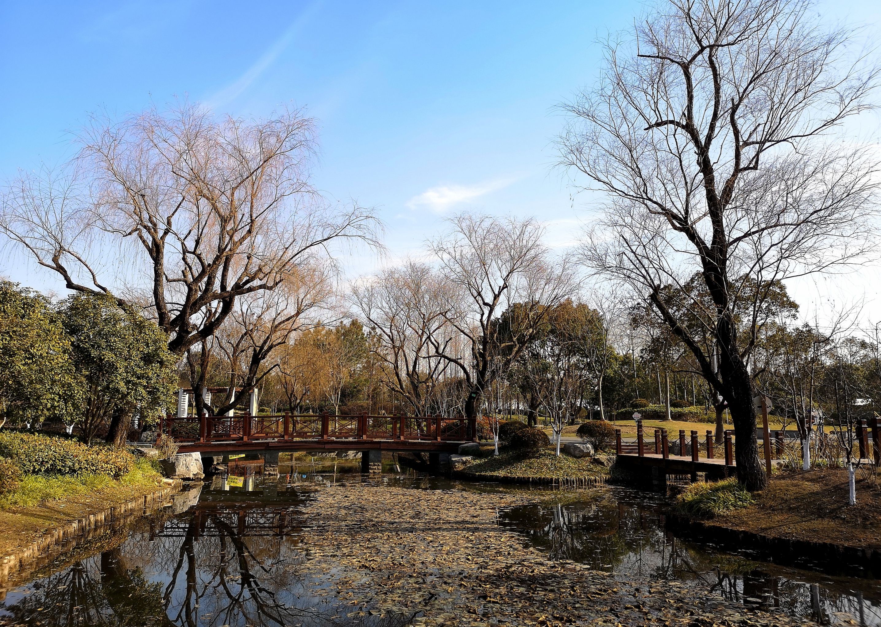 【首发】陈行公园休闲游