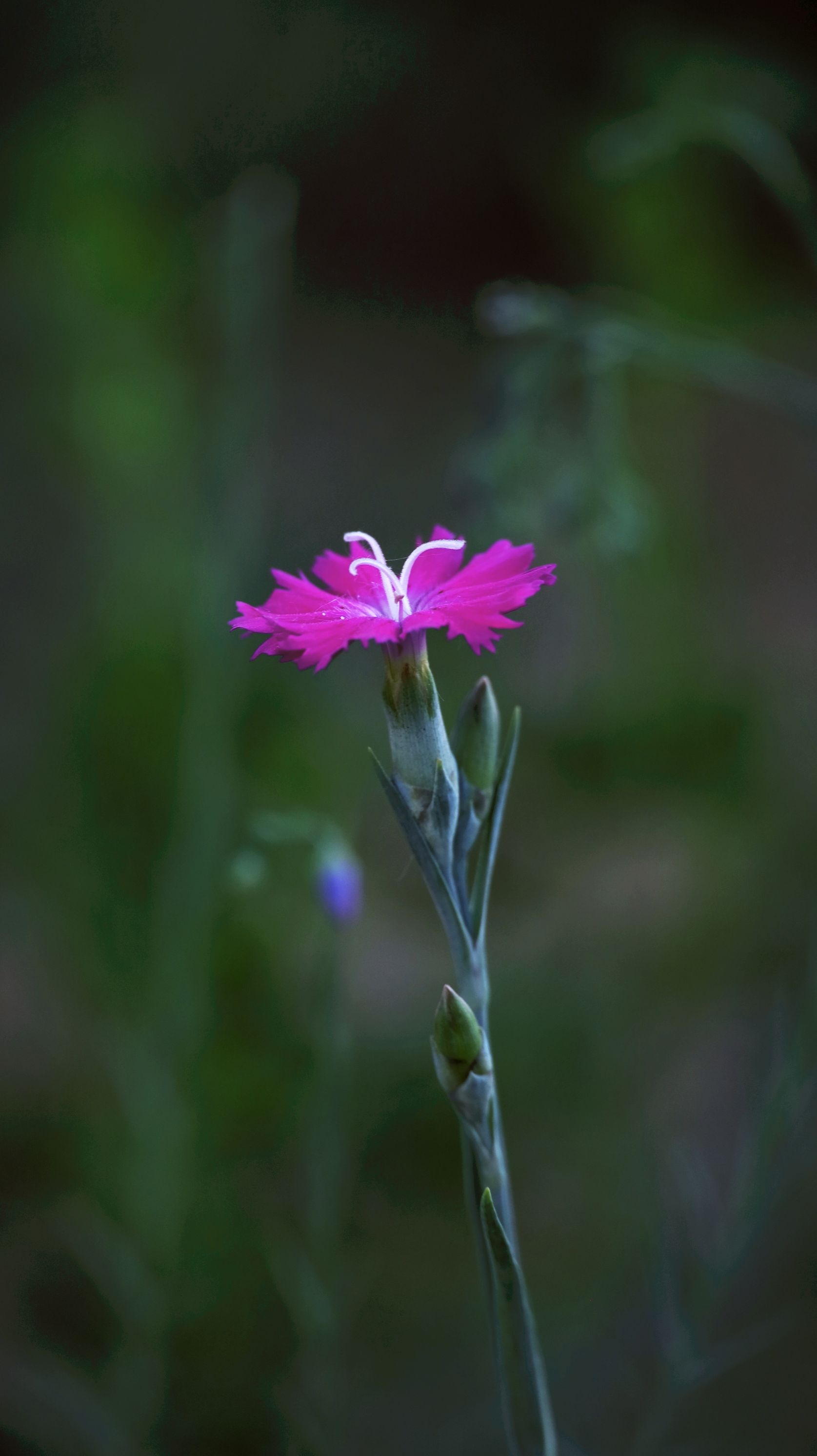 摄影:闻新 文字:参照资料编写