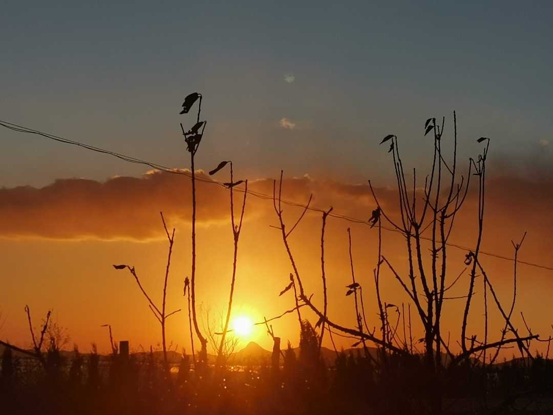 夕陽的眷戀