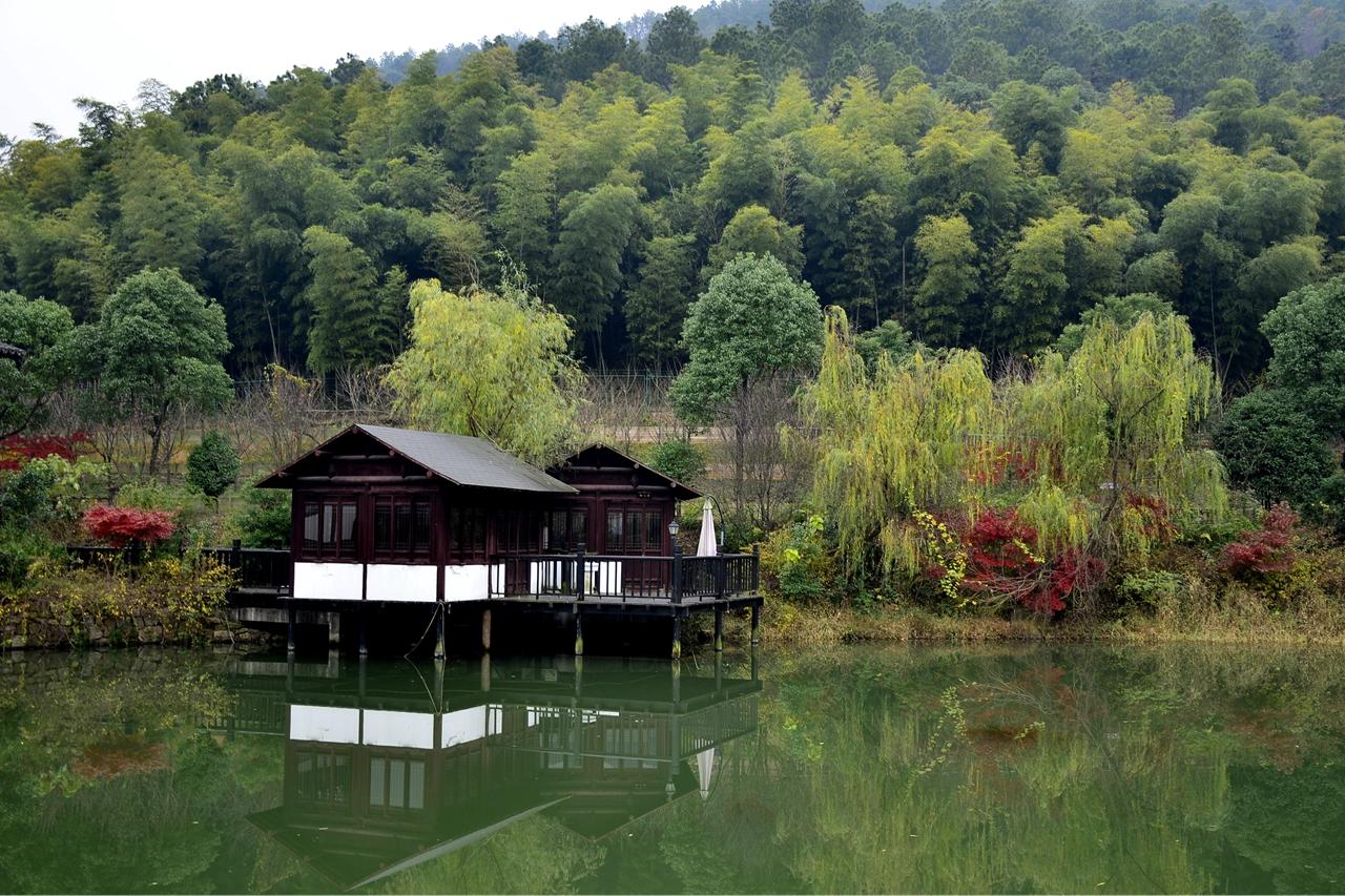 苏州"旺山村"【首发】