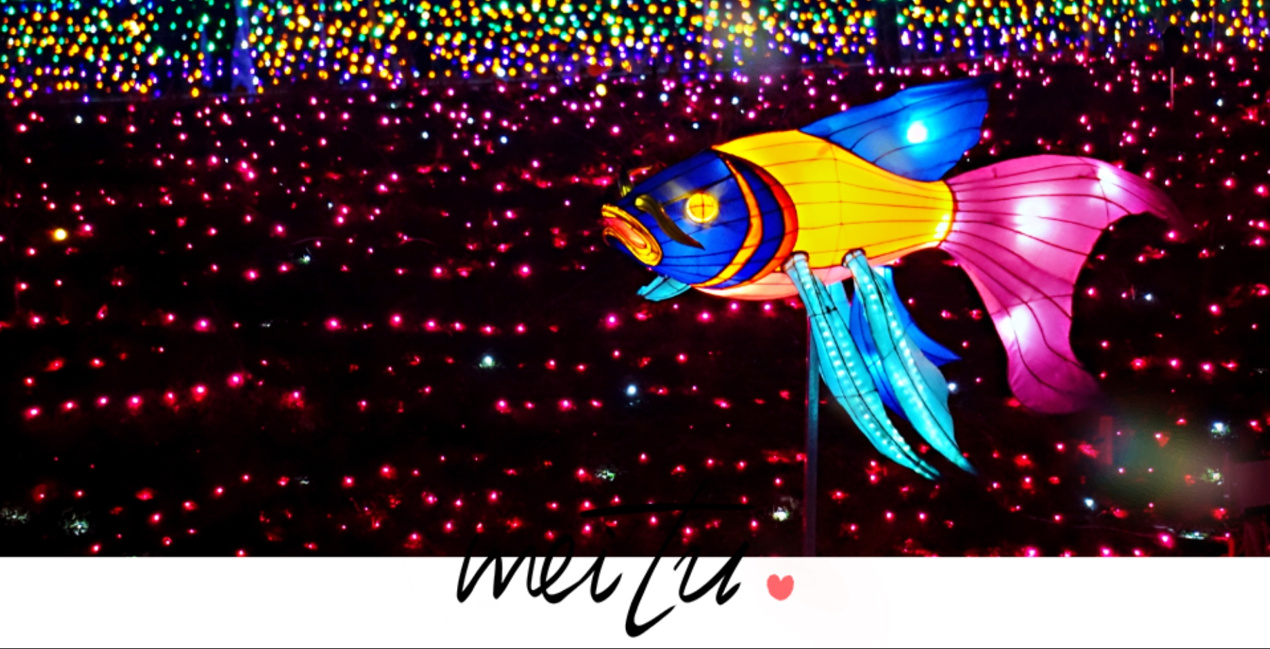 首发: 五彩缤纷灯光秀