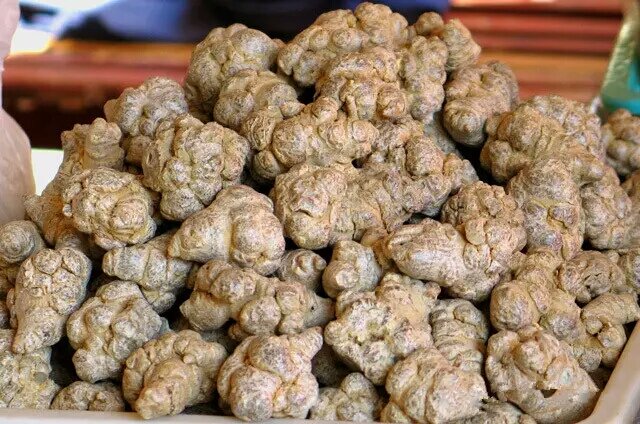 保佑我们的先天之本何首乌:温补肾阳,再活500年还是黑发飘飘枸杞子