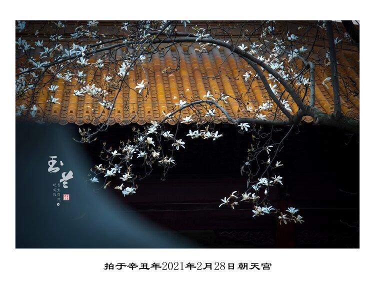 二月再见三月你好首发