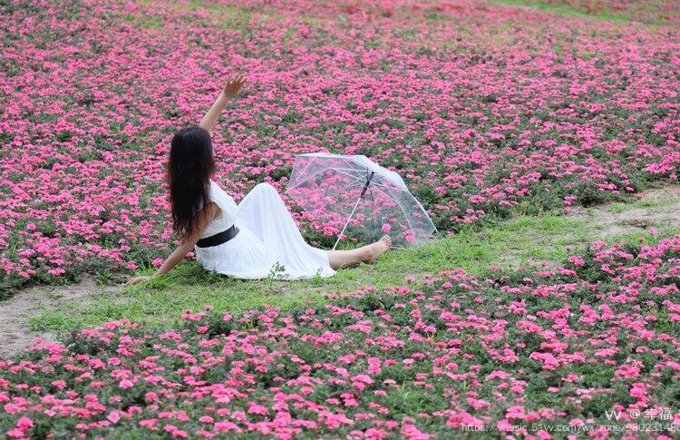 空气中传来淡淡花香,正是赏花好时节,玉溪玉山城花海再也藏不住了~人