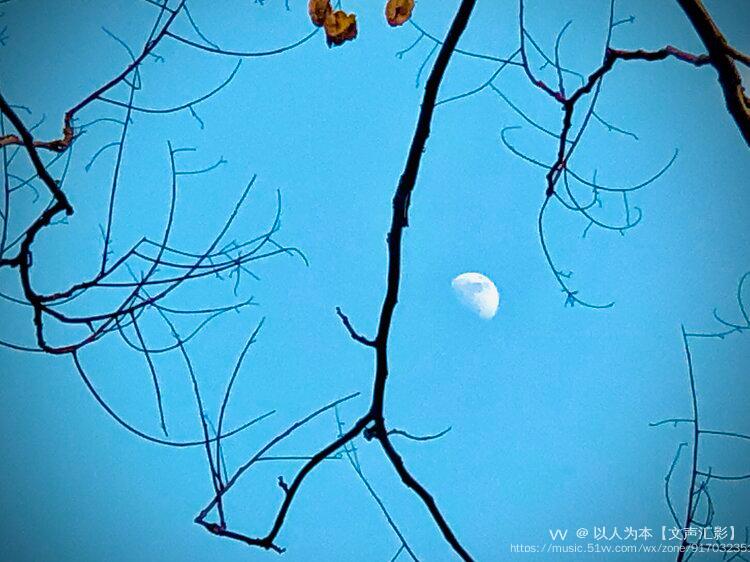 相依遥遥相望岁月如此的深情这日月同辉的早晨月亮还不忍离去太阳升起