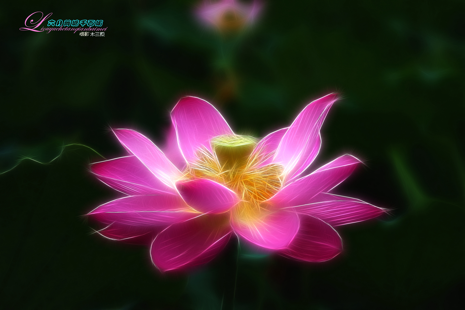 【首发】炫光的魅力(2)