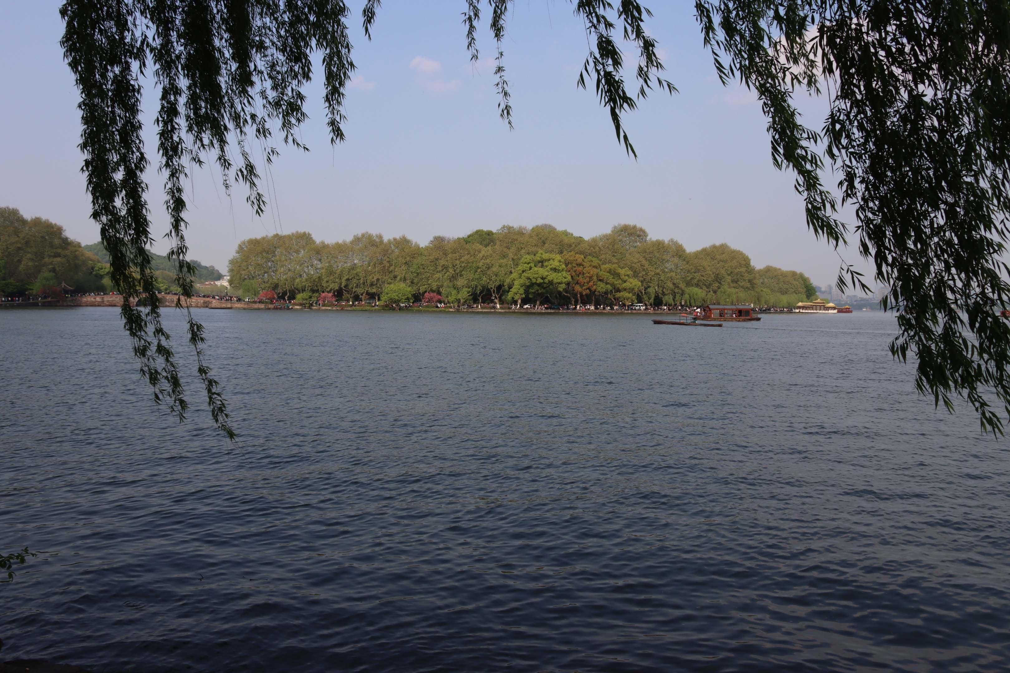 【首发】七律一湖烟雨一湖春