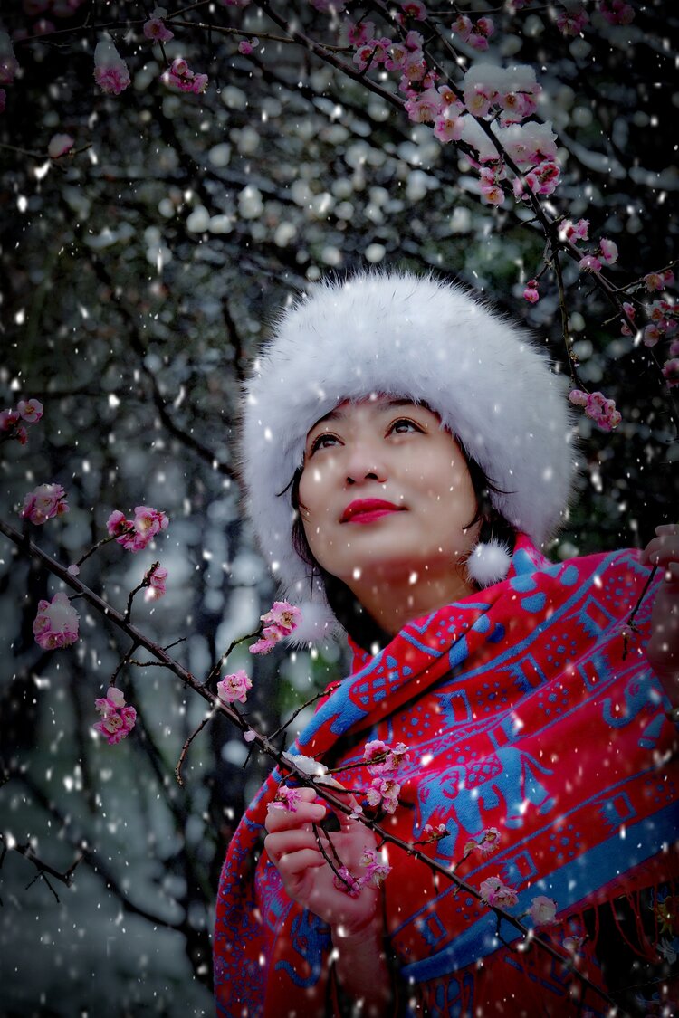 女人雪中赏梅人物图片图片