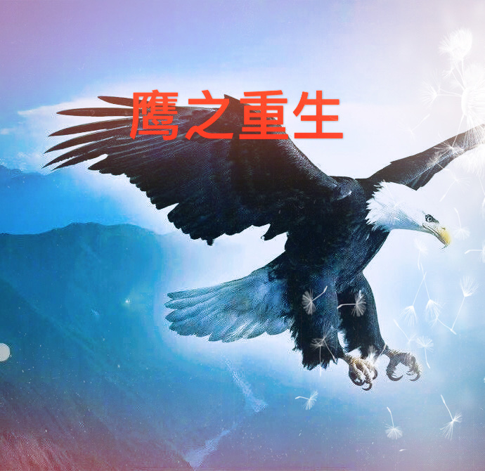 鹰之重生勇敢者励志诗