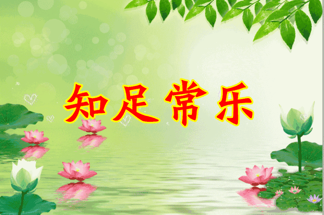 640_425gif 动态图 动图