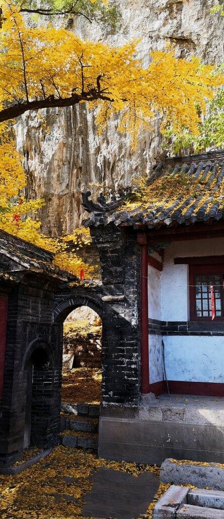 进入最佳观赏期,引来无数观光和摄影者,据《山东古迹名胜大观》中记述