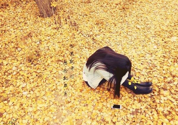 秋天,一定是我前世的情人翩然而至,让我欣喜若狂黯然离去,令我满腹