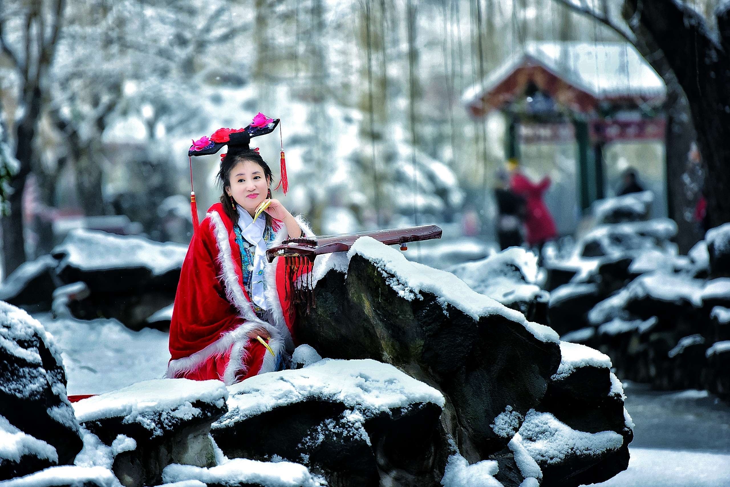 《大观园赏雪》