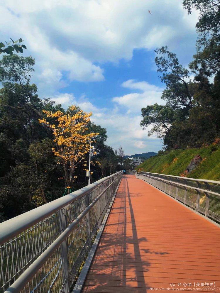 廣州空中花園棧道