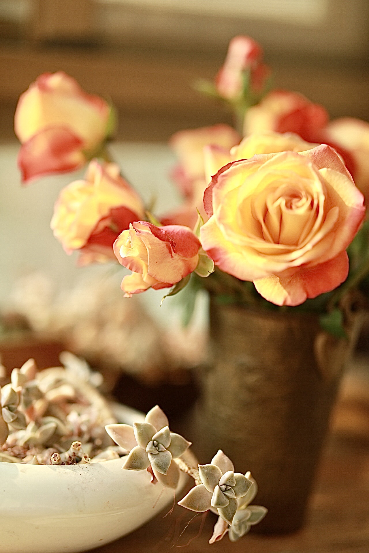 阳光,鲜花,微笑 《首发》