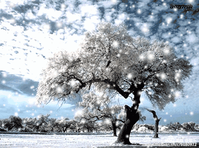 下雪纷飞美景动态图片图片