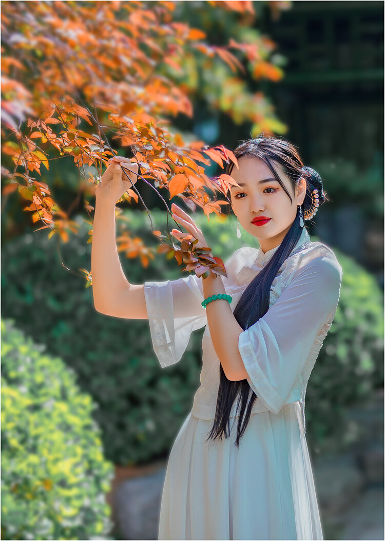 淡若清风(lgq)