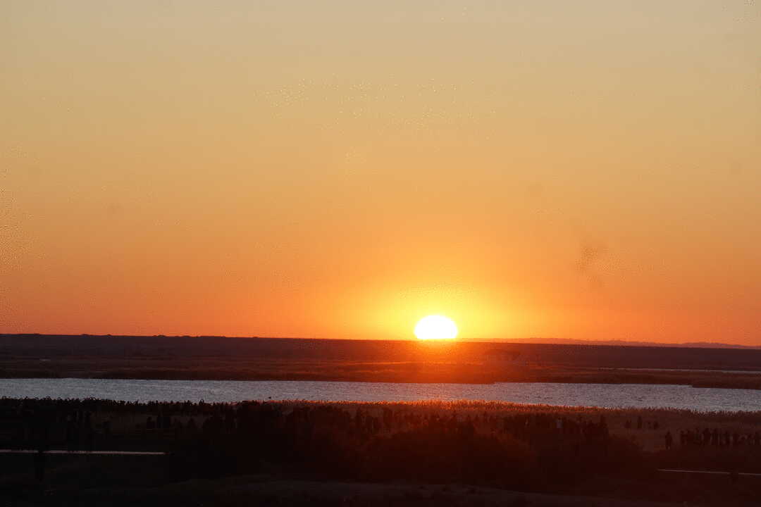 文/老书生 旷野苍苍醉画屏, 冬阳缓落暮昏暝.