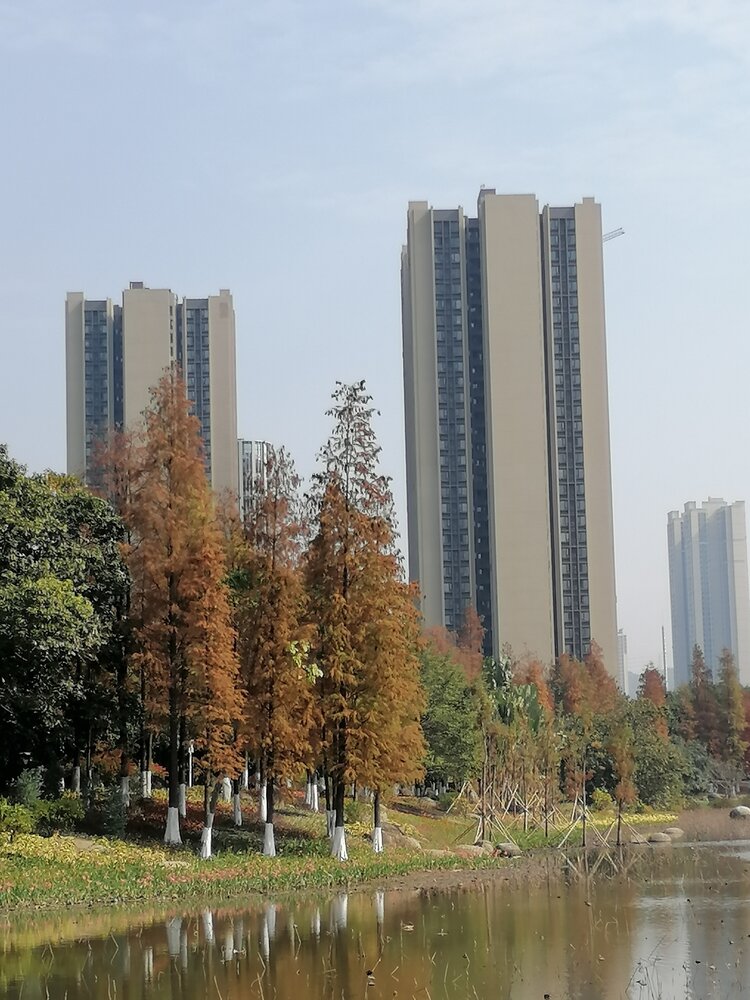开心畅游黄埔区创新公园