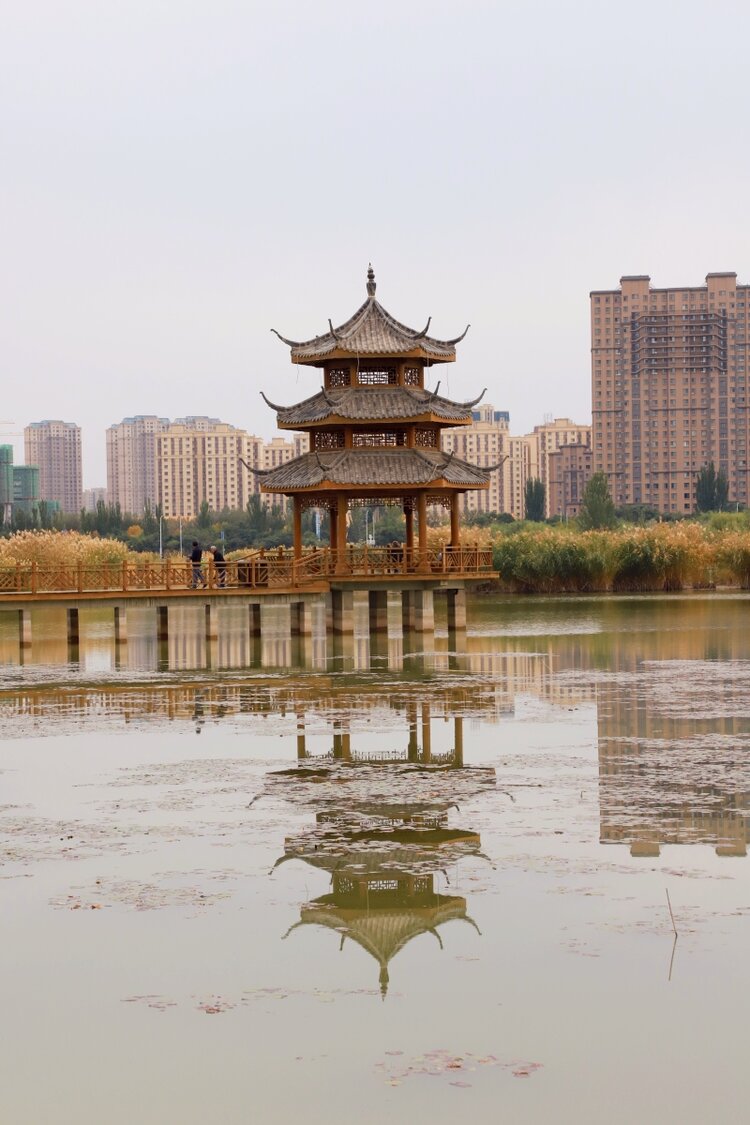 宝湖公园景色赛胡杨