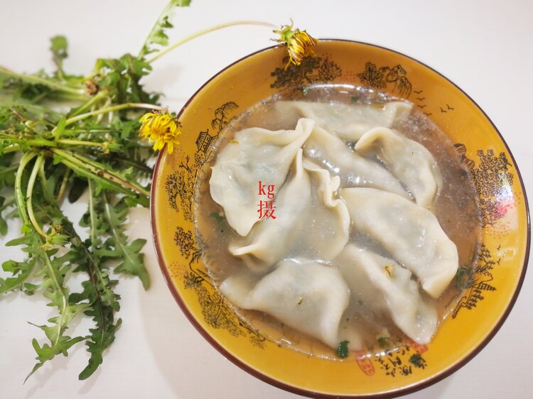 原创首发入伏食蒲公英饺子香气四溢的山野美味