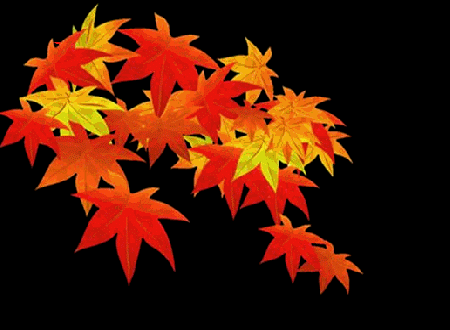 图片:来自网络诵读/自由海蓝蓝编辑/自由海蓝蓝作者/紫玉冰秋