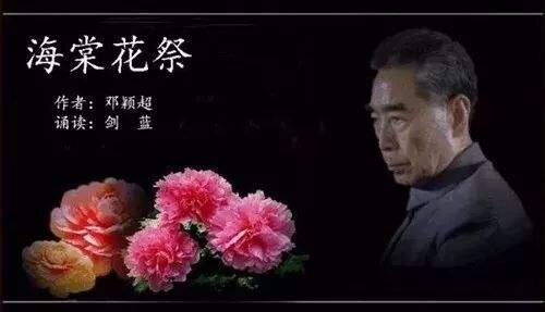 海棠花祭作者邓颖超