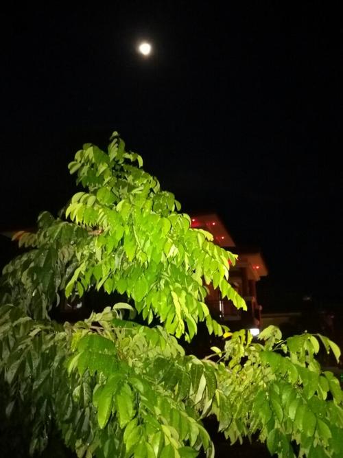 祁隆家乡的月亮图片图片