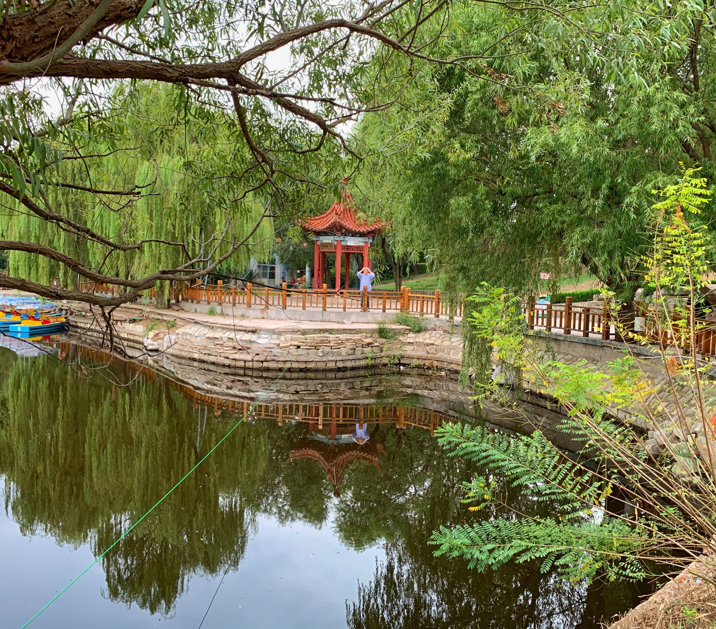 行色匆匆逛高密 凤凰公园留足迹