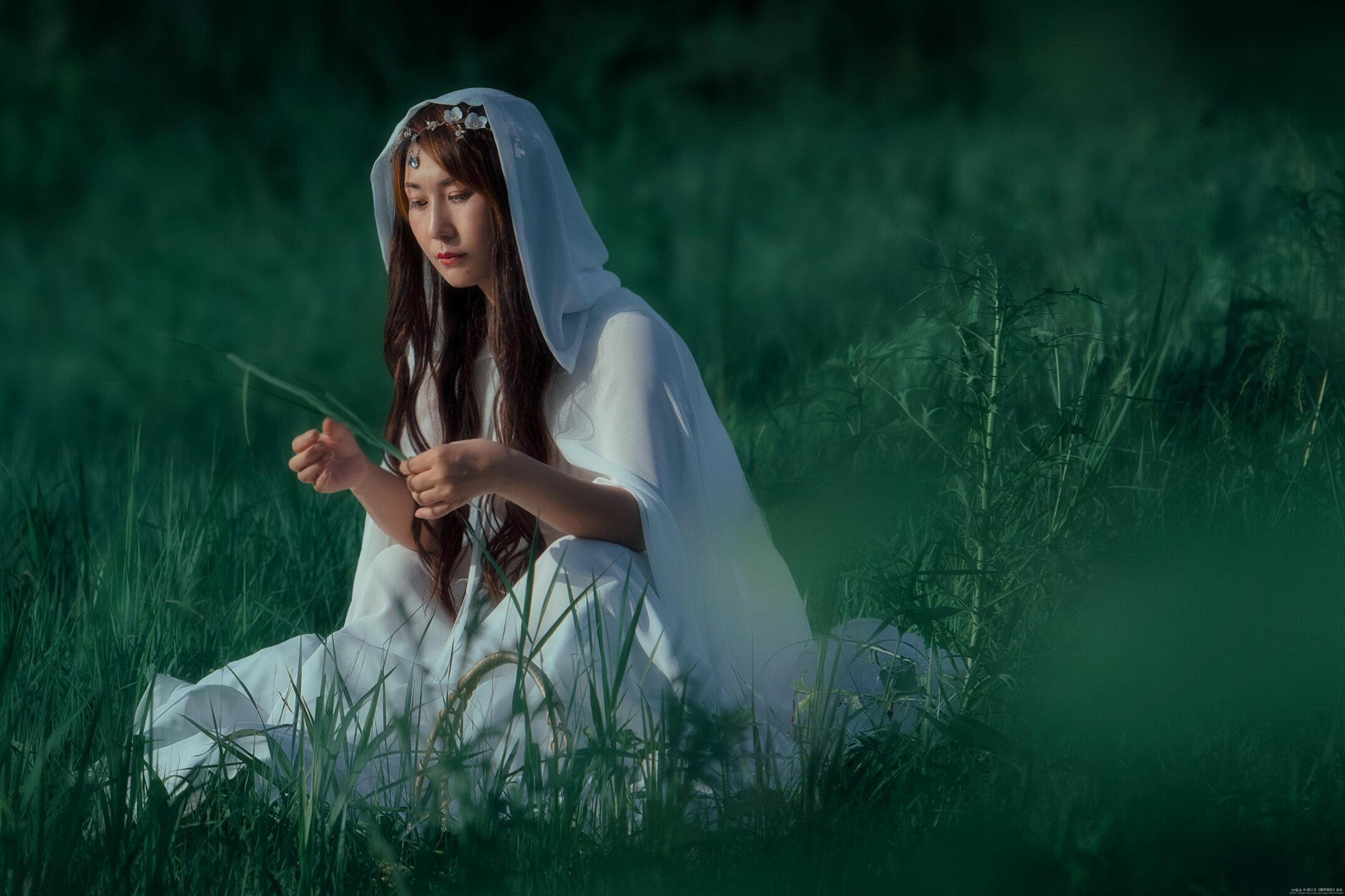 《礼答忘情水 恩感孟婆汤》vv首发