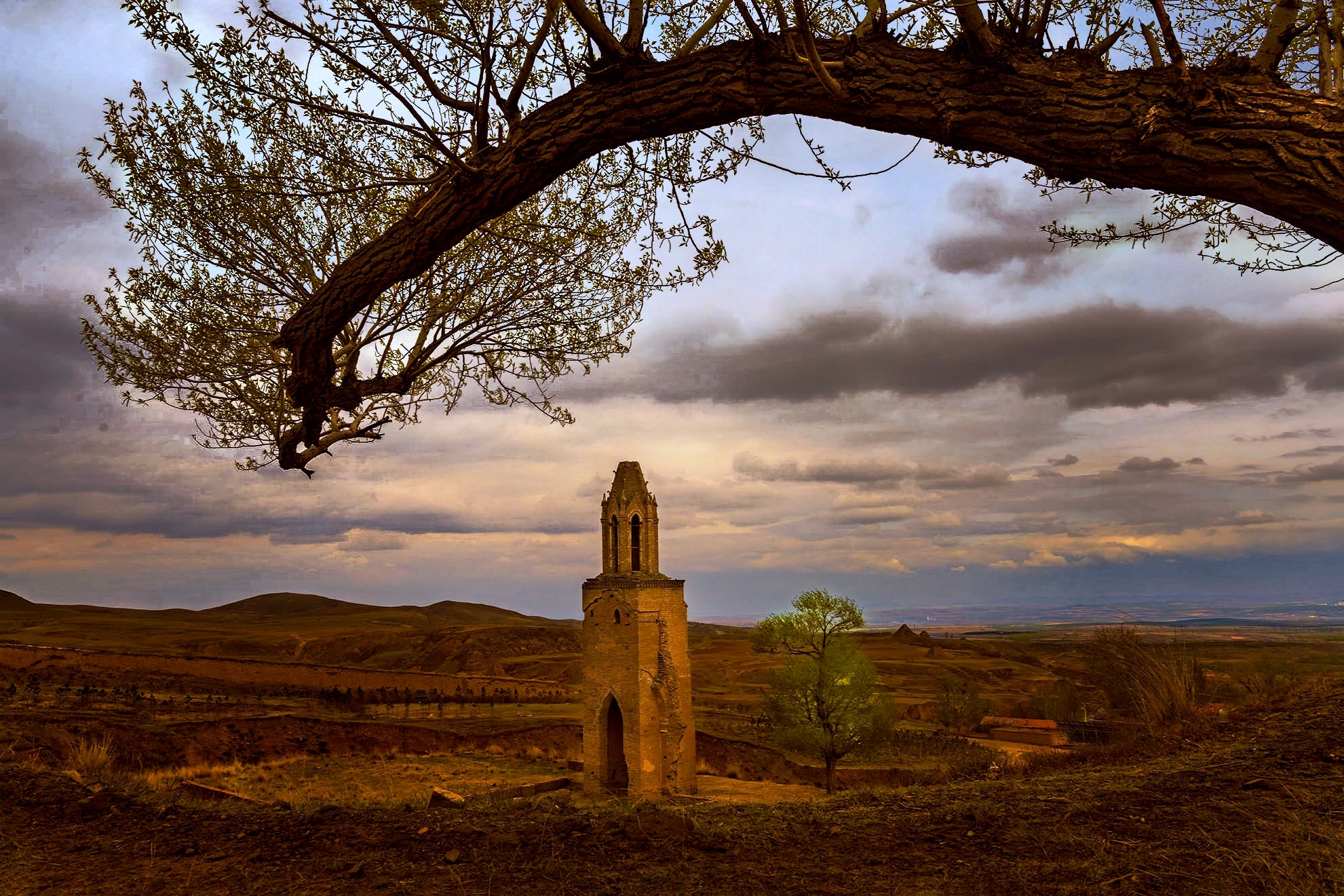 追光逐影一大单巴【首发】