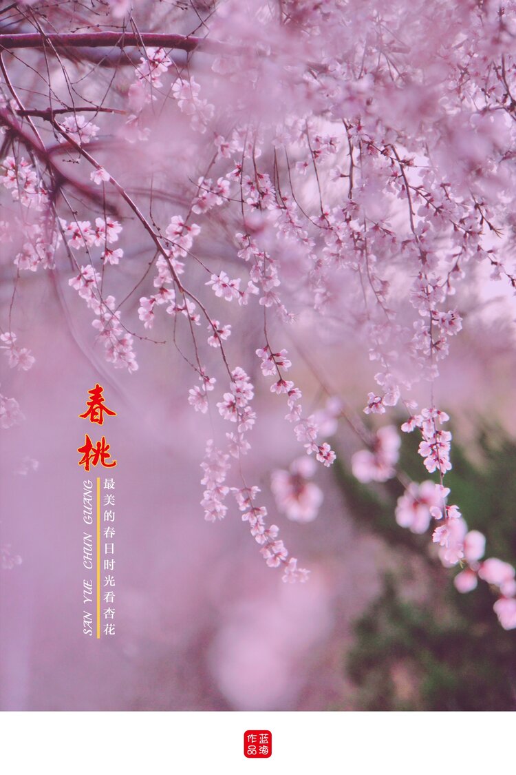 粉黛桃花暗香来