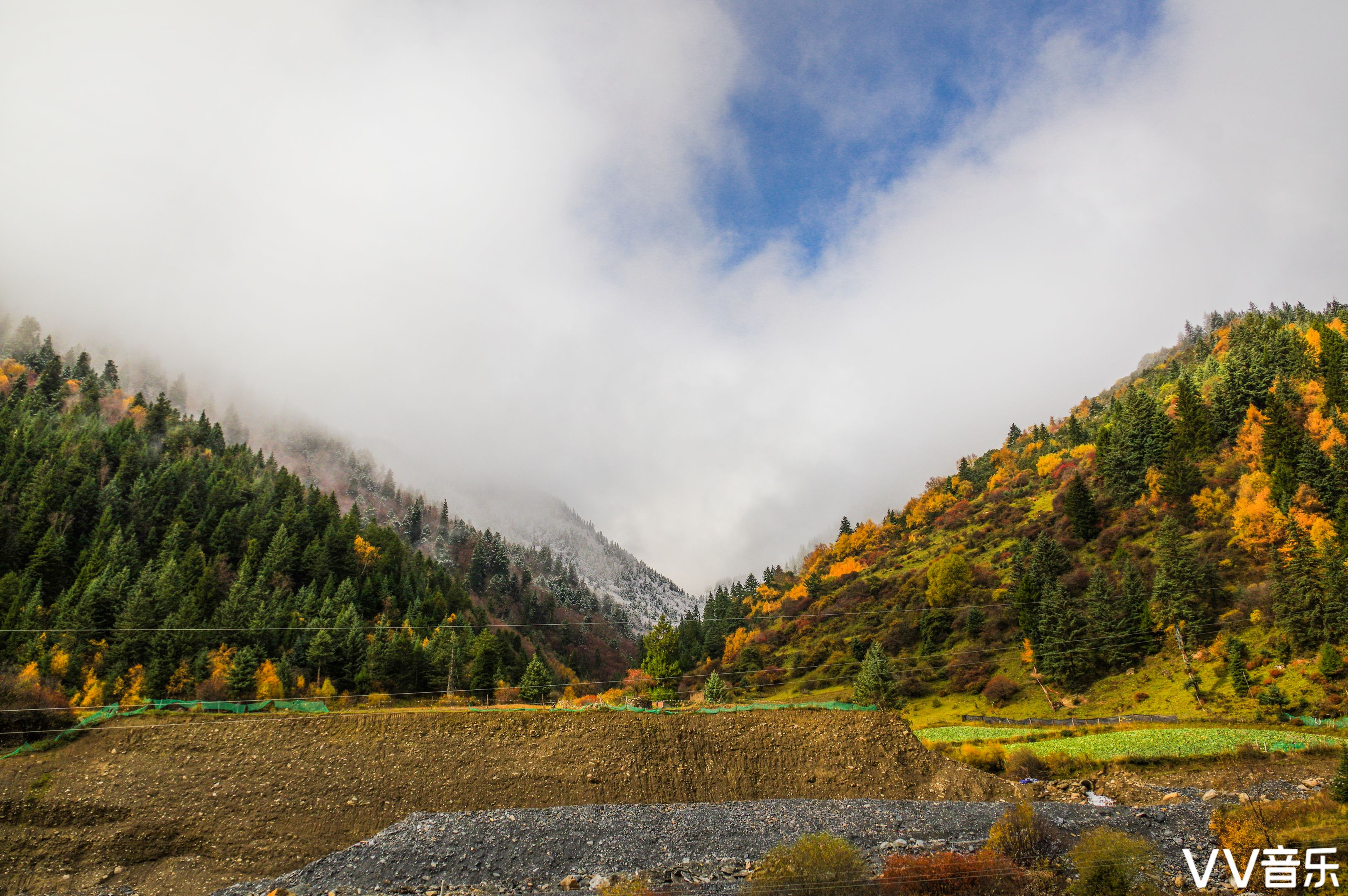 黑水八十里彩林