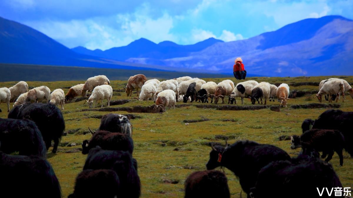 情久长可可托海牧羊人