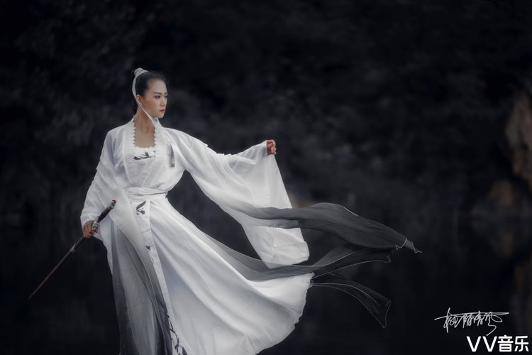 歌者痴痴者岂独我千古碧血书丹青---同一色剑光难断心中魔--白发千丈
