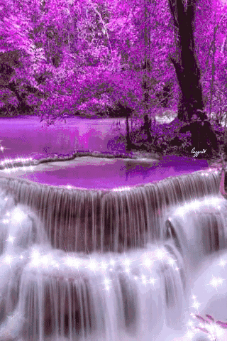 紫色的激情简谱图片